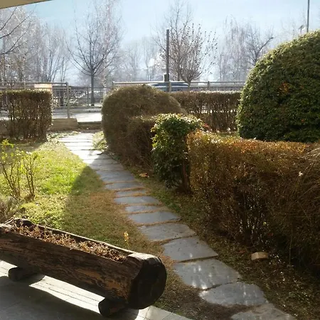 Maggio Di Fronte Palaghiaccio Cir 0005 アオスタ